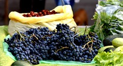 Ministar trgovine BiH tražit će 90-dnevnu zabranu uvoza grožđa