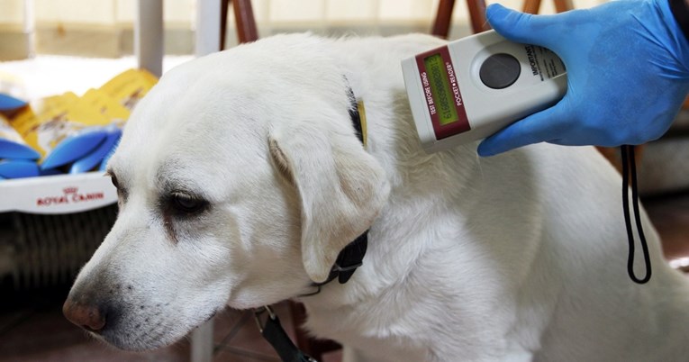 Označavanje pasa i mačaka u EU postaje obvezno