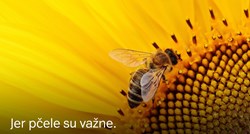 Kako zuje pčele u Hrvatskoj?