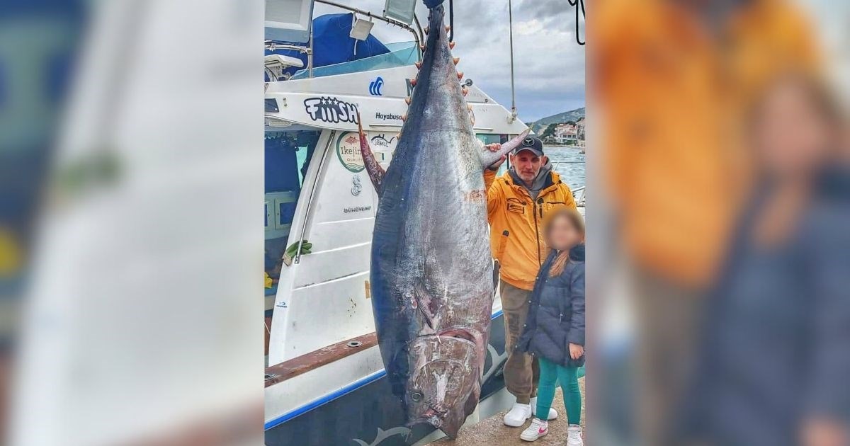 U Vodicama ulovljena atlantska plavoperajna tuna, teška je 317 kilograma