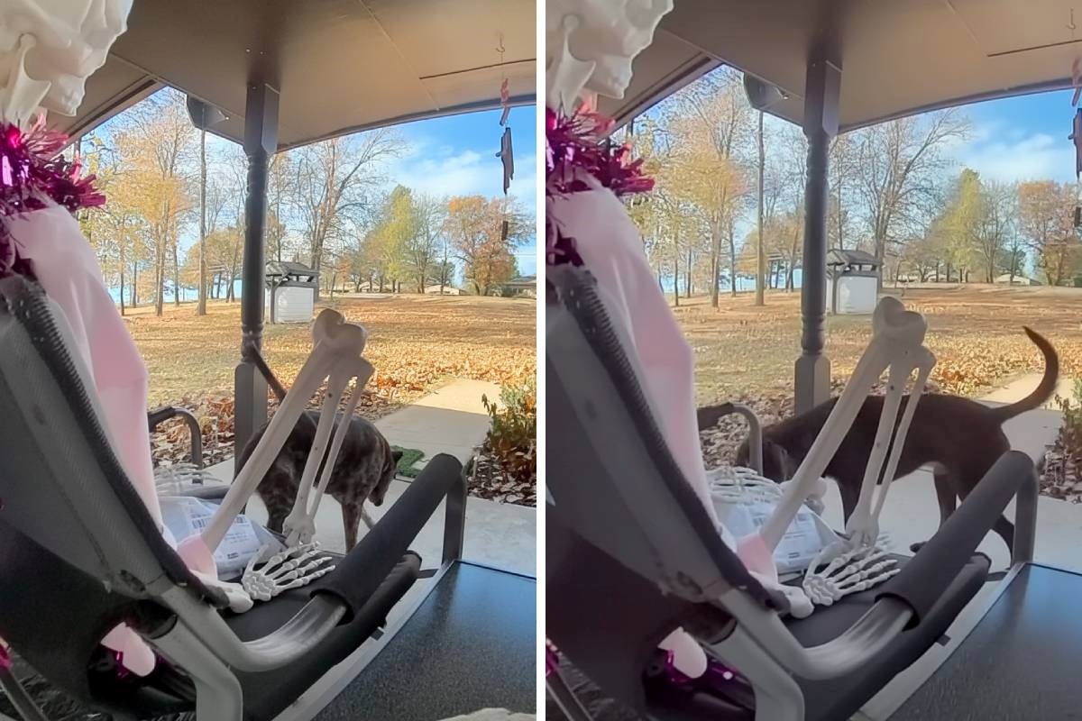 Ženi s praga nestao paket, iznenadila se kad je doznala tko je krivac