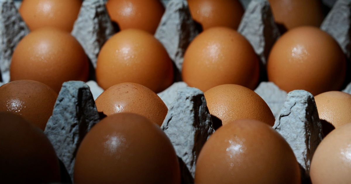 Salmonelom se zarazilo 207 ljudi u Britaniji, više od trećine završilo u bolnici