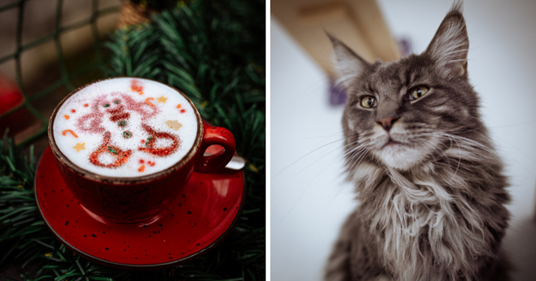 FOTO U Cat Caffe stigla božićna čarolija, imaju najslađe kave s božićnim motivima