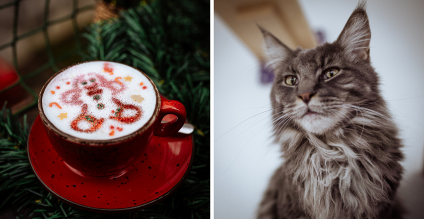 FOTO U Cat Caffe stigla božićna čarolija, imaju najslađe kave s božićnim motivima