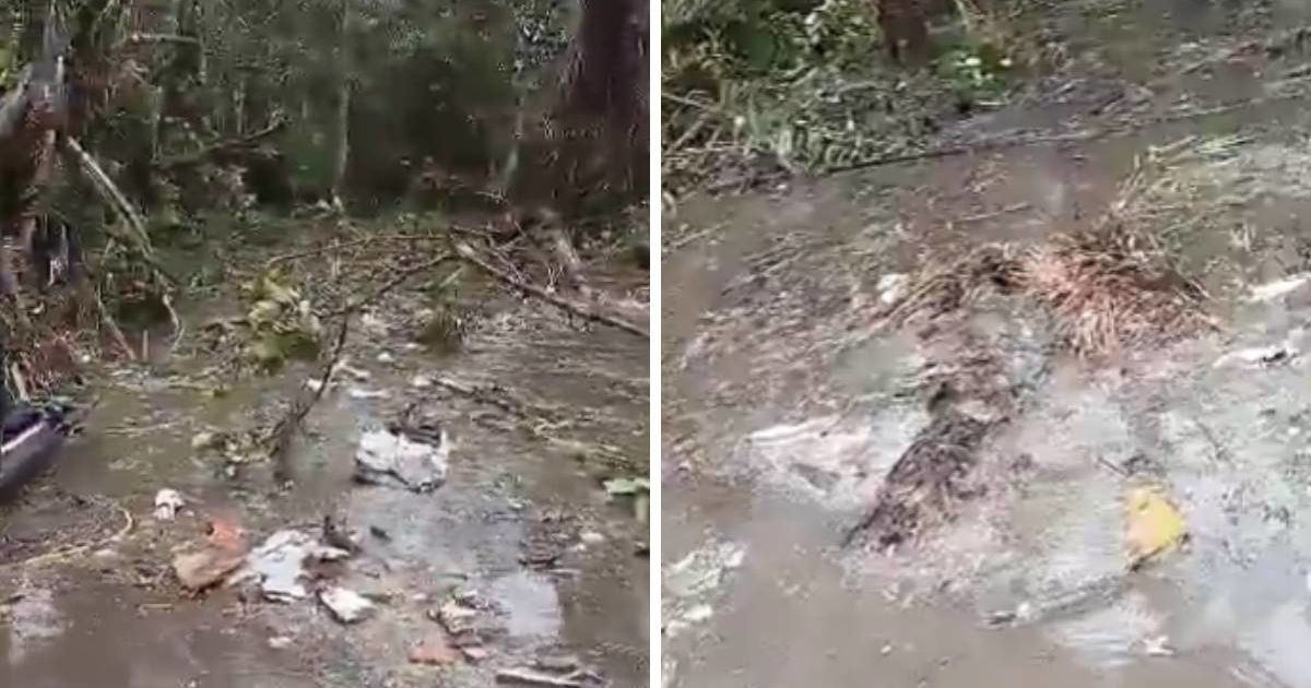 Avion s 32 osobe srušio se u Nigeriji. Mještani kažu da su pronašli dijelove tijela