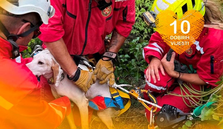 10 dobrih vijesti tjedna