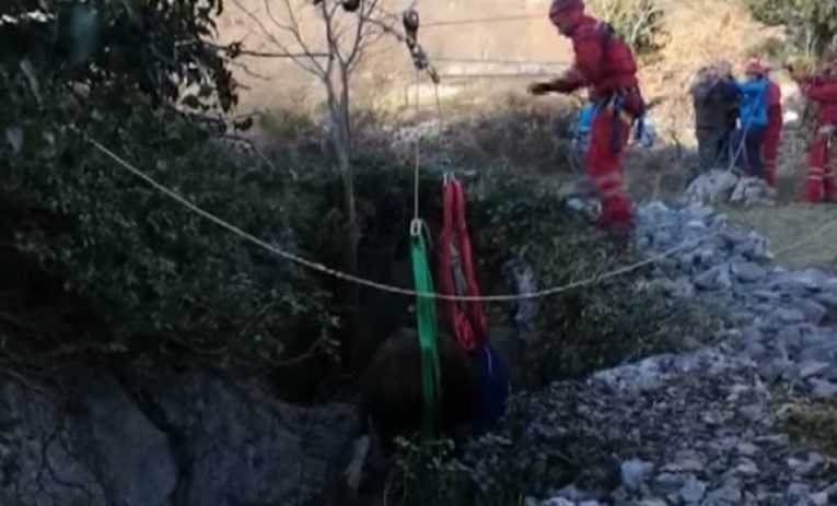 VIDEO HGSS-ovci iz jame izvukli kravu od 250 kila