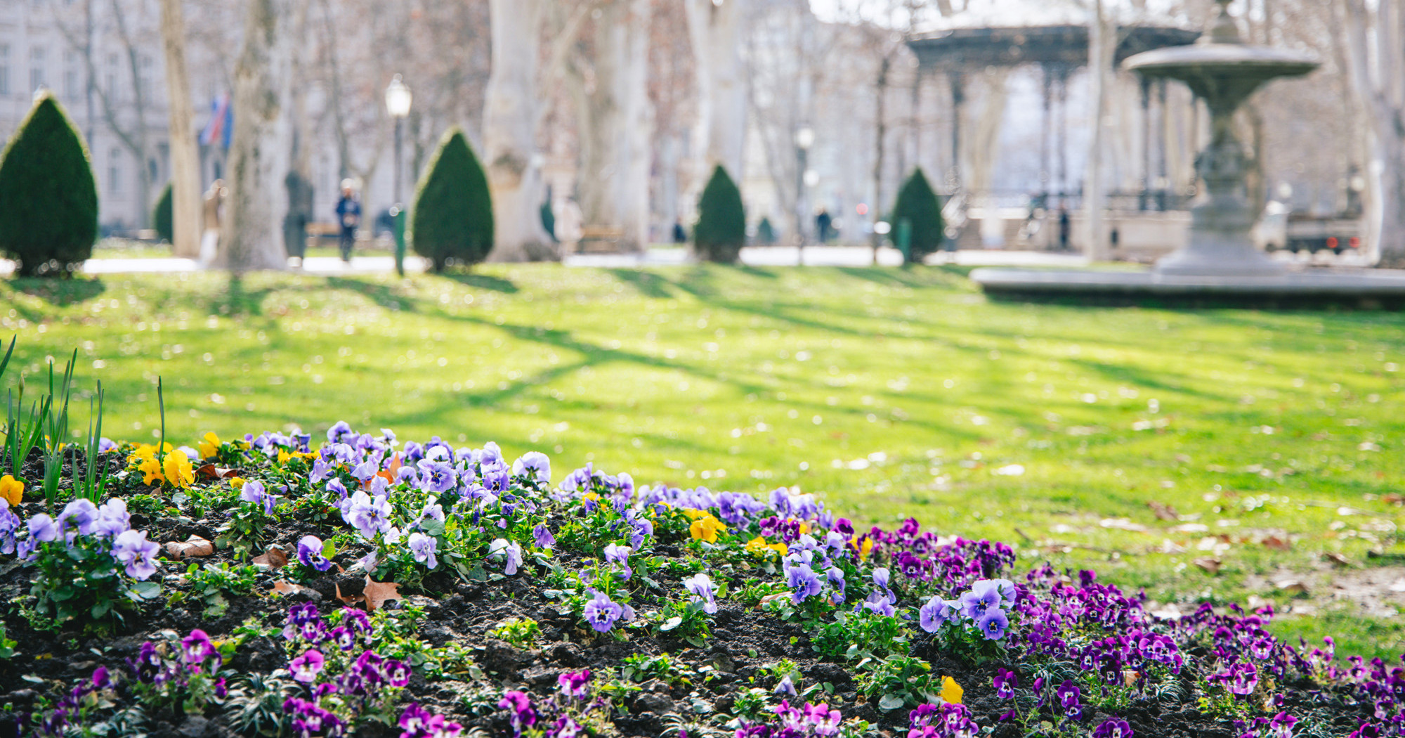 VELIKA GALERIJA Sasvim nečujno nam je stiglo proljeće