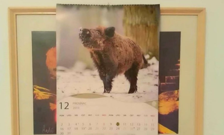 Fotografija kalendara iz okolice Drniša postala hit, odmah je jasno zašto