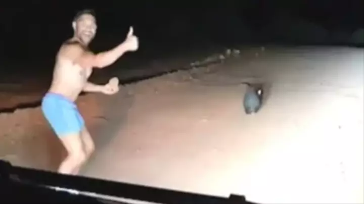 Australski policajac brutalno ubio vombata, kamenovao ga do smrti