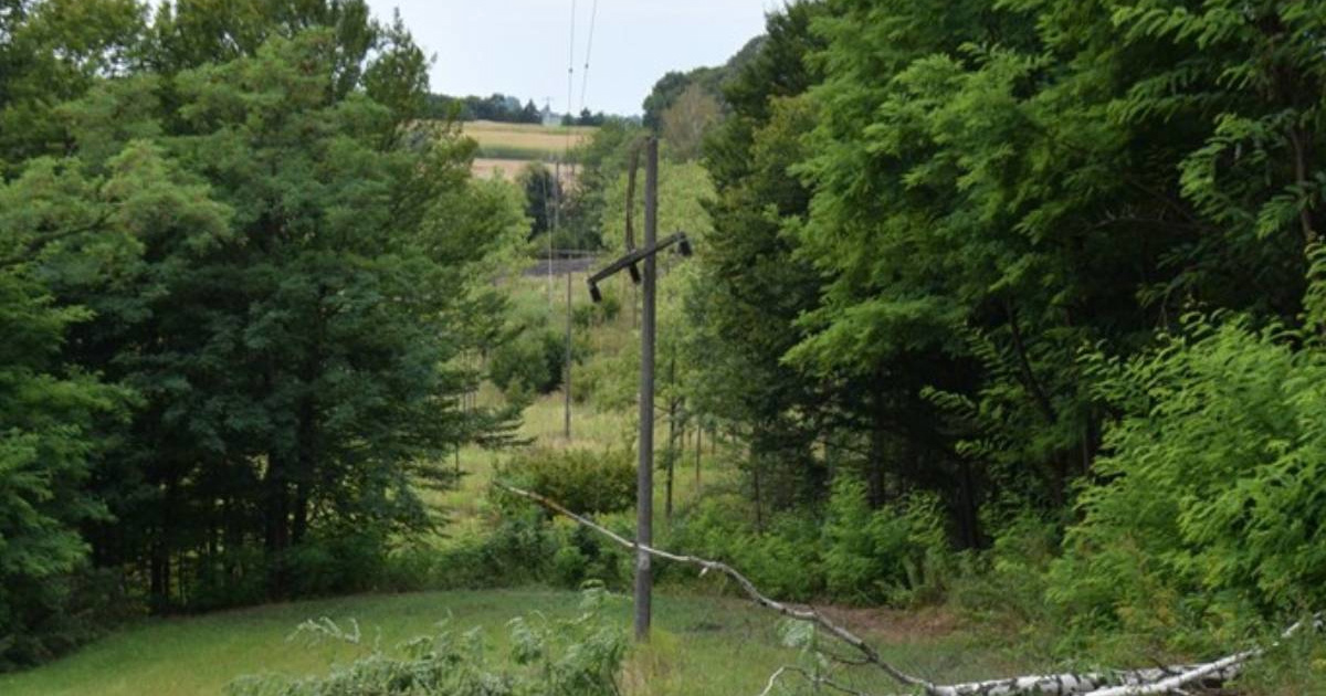 Rušio stablo kod Čakovca, bez struje ostalo 1200 kućanstava