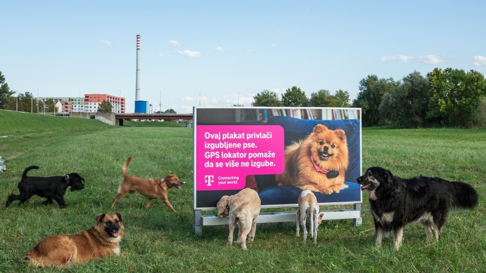 Hrvatski Telekom predstavio inovativni plakat za pronalazak izgubljenih pasa