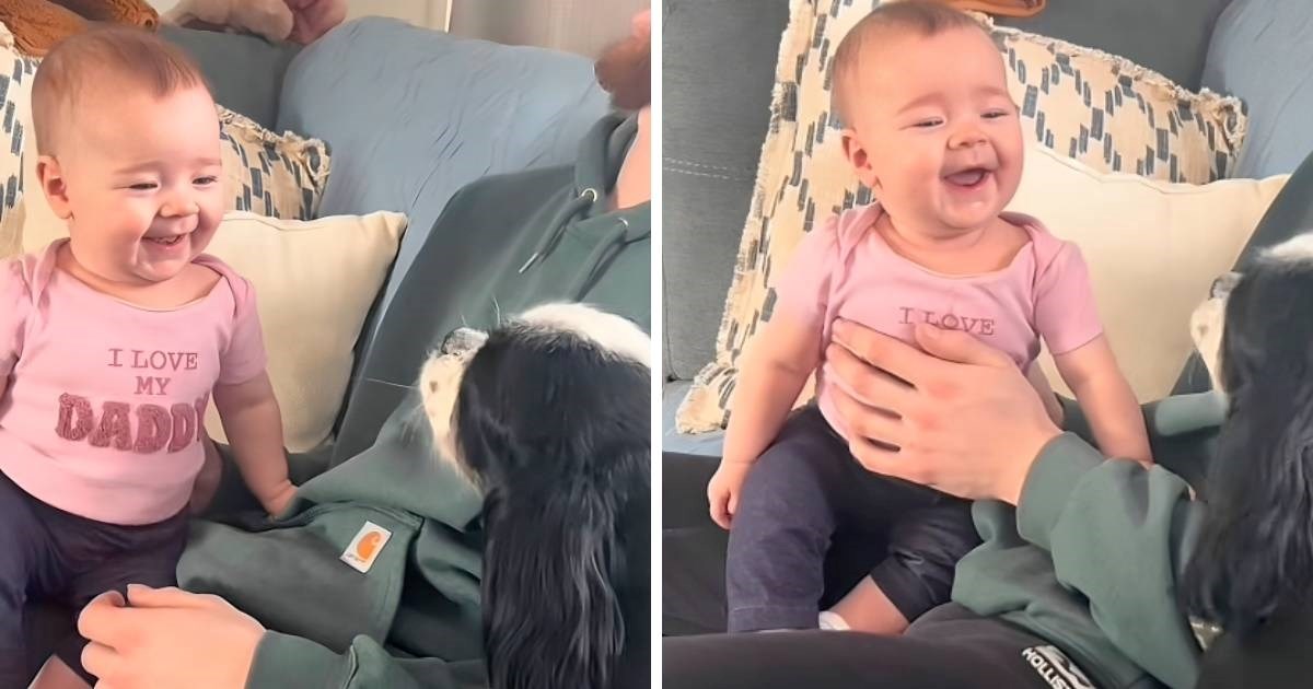 Šest milijuna pregleda: Video bebe koja se smije psu osvojio internet