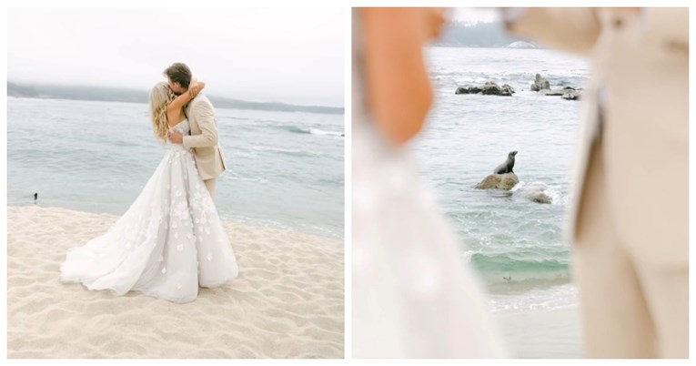 Mladi par imao vjenčanje na plaži, a onda im je uletio nepozvani gost
