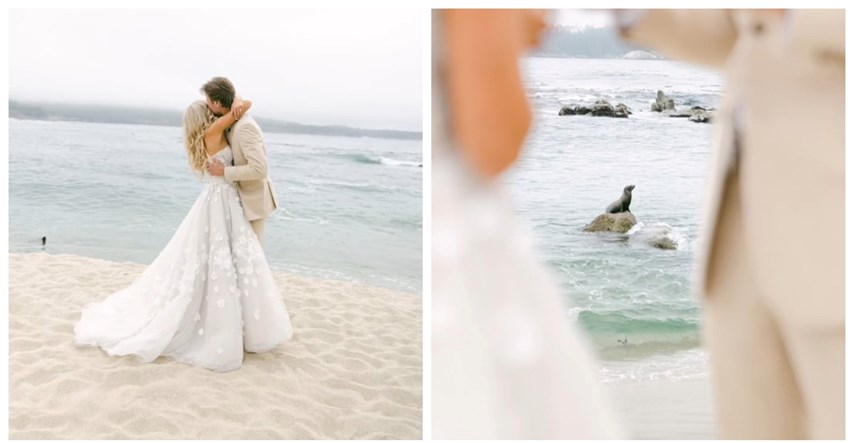 Mladi par imao vjenčanje na plaži, a onda im je uletio nepozvani gost