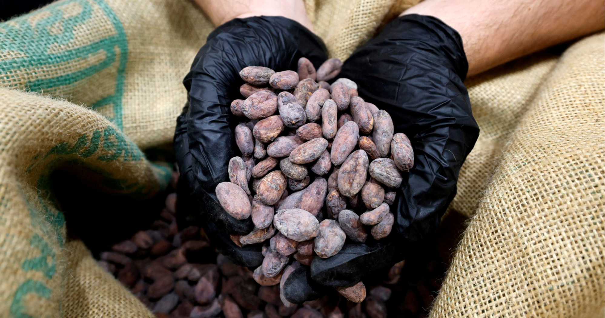 Drastično pala cijena kakaovca. Konzultantica: Cijena čokolade u Hrvatskoj neće pasti