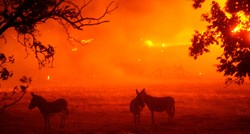 Oko 11.000 munja izazvalo 367 požara u Kaliforniji, deseci tisuća ljudi evakuirani