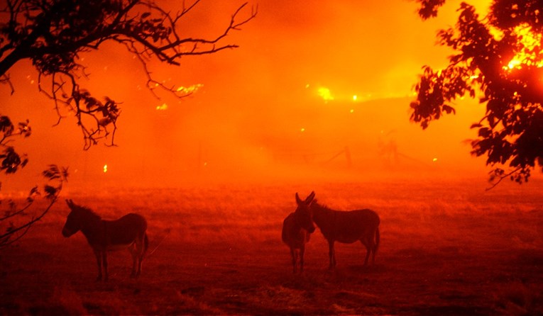 Požari izazvani tisućama munja bjesne Kalifornijom, deseci tisuća ljudi evakuirani