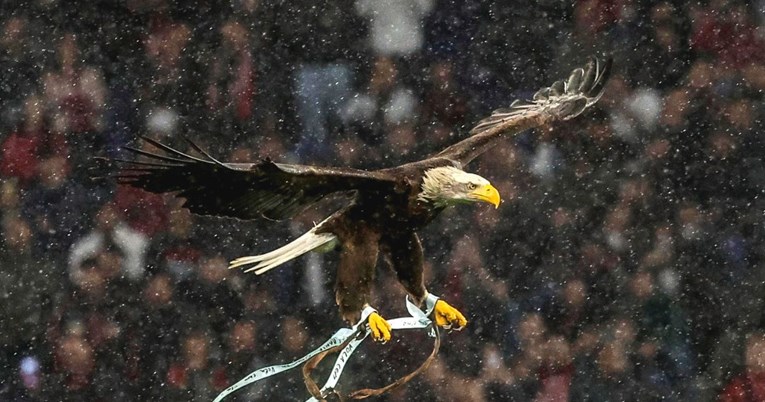 VIDEO Lazijev orao uoči utakmice zabunom sletio na pogrešno mjesto na Olimpicu