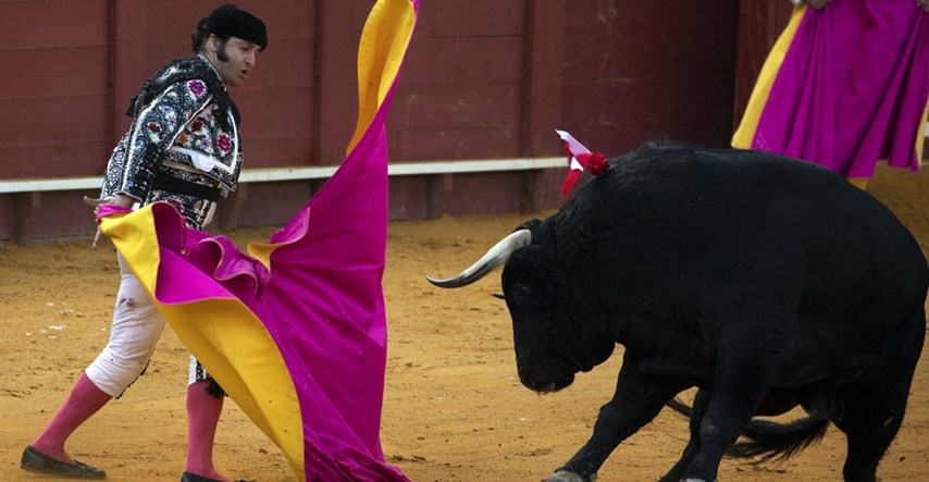 Francuski parlamentarci raspravljaju o zabrani borbi s bikovima