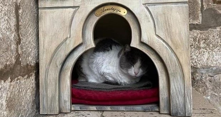 Dubrovčani pokrenuli peticiju za vraćanje kućice mački Anastaziji