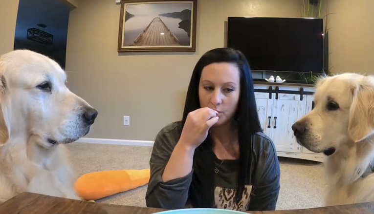 Vlasnica jela nevidljivu hranu pred psima, njihove reakcije na to su urnebesne