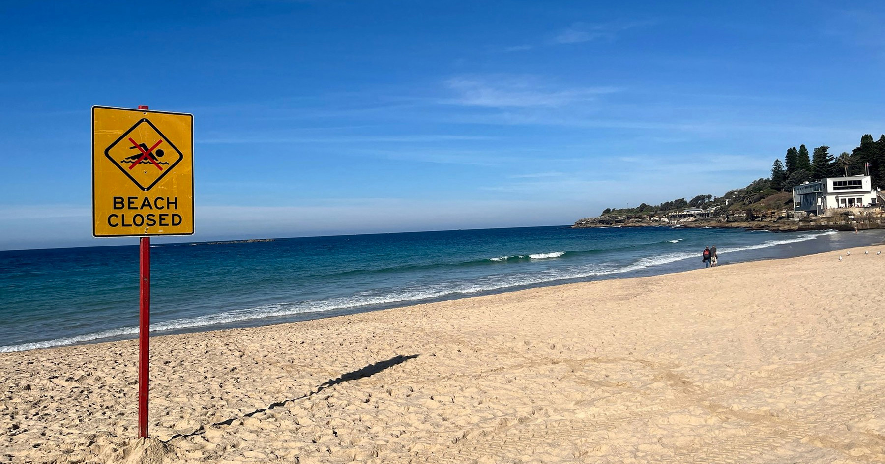 Morski pas teško ozlijedio ženu na popularnoj plaži u Sydneyju