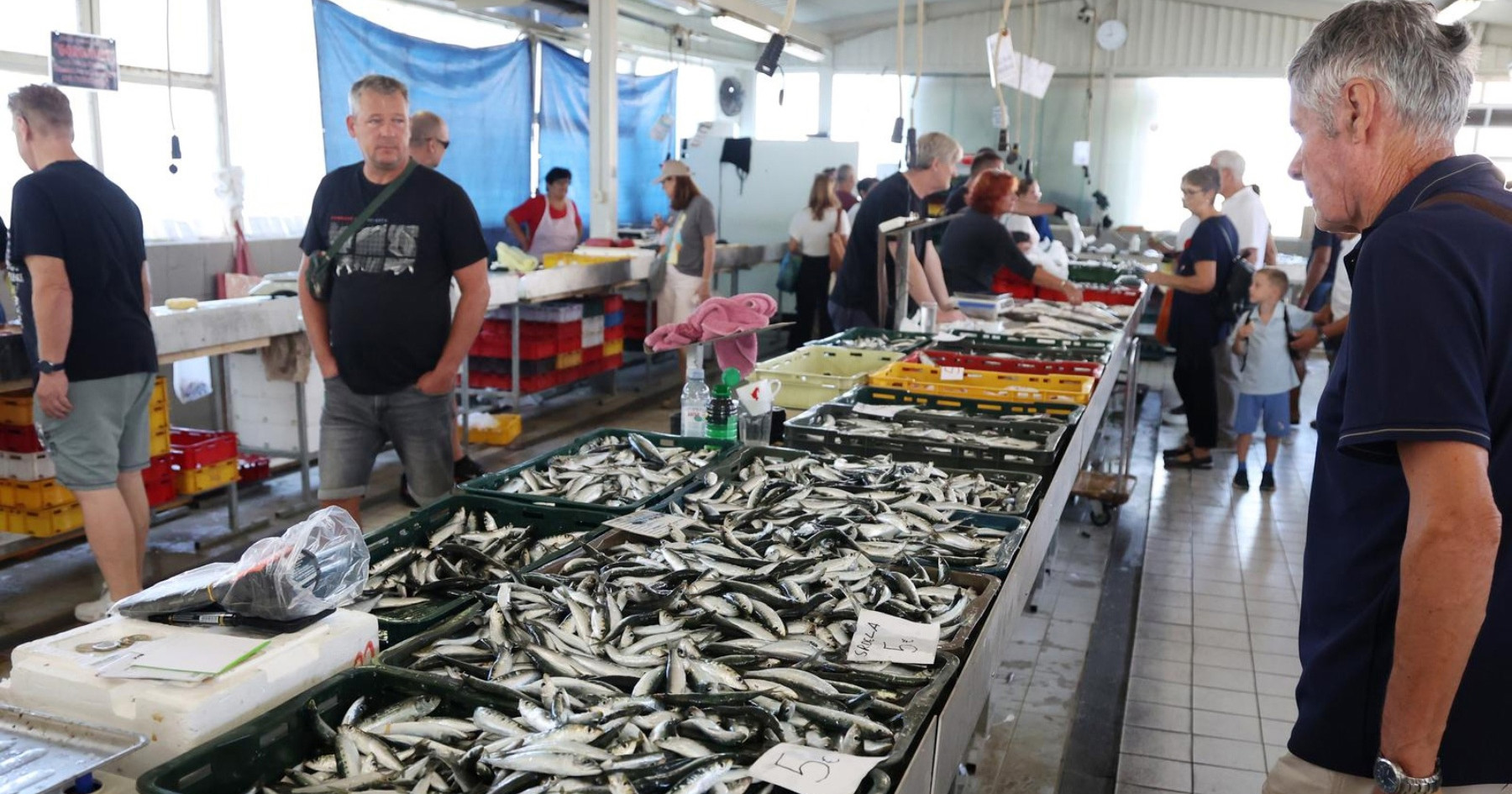 Petak je dan za ribu. Koliko na šibenskoj ribarnici koštaju orada, brancin, lignje...