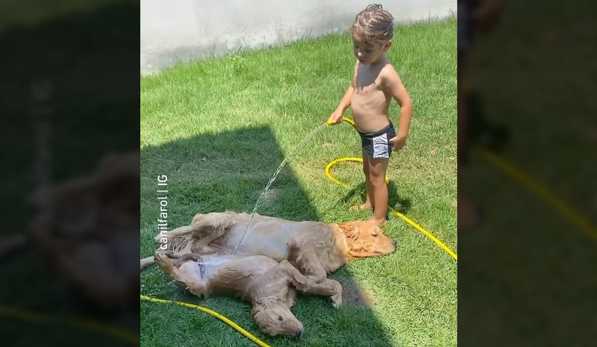 Dječak zalijevao svoja dva psa, video je hit