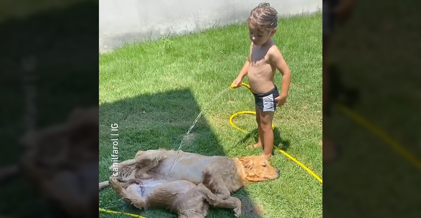 Dječak zalijevao svoja dva psa, video je hit