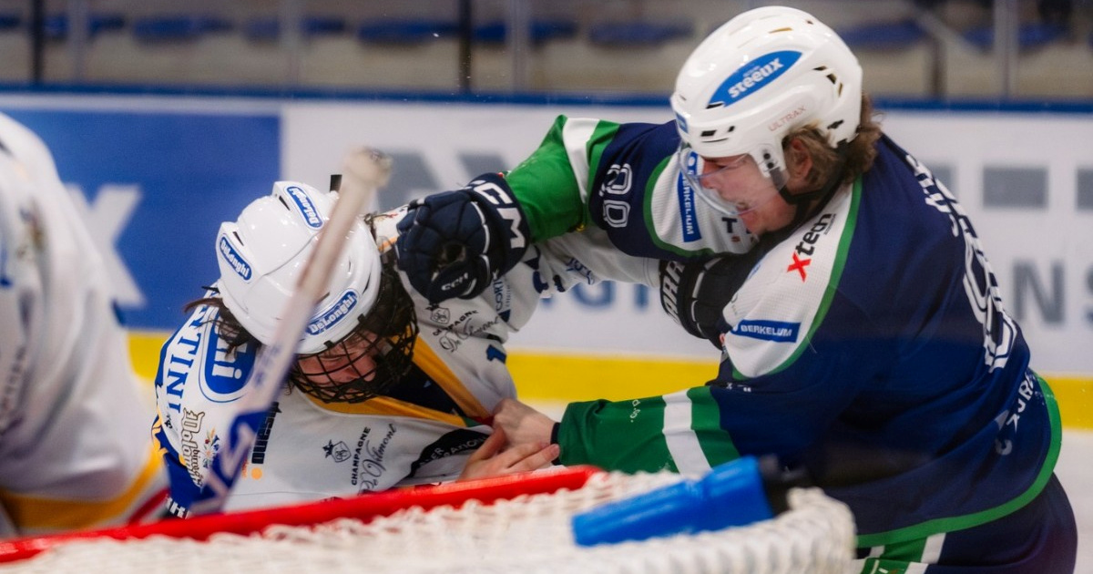 VIDEO Hokejaš Siska prebio protivnika. Klub: Imamo kandidata za FNC