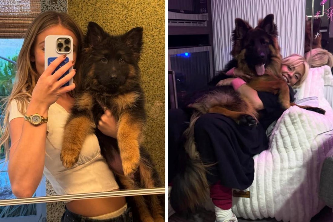 Sydney Sweeney objavila nove fotke svog psa, fanovi komentiraju: "Ogroman je"