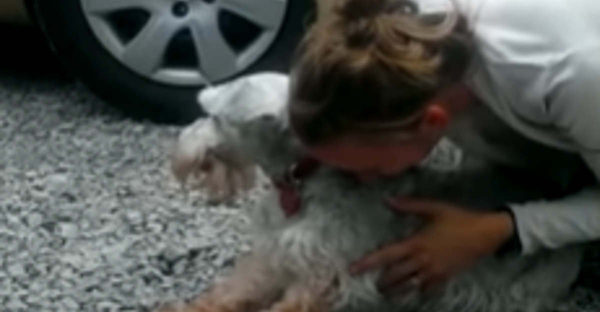 Pas vidio vlasnicu nakon dvije godine, pao u nesvijest od uzbuđenja
