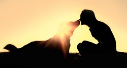 Psi prate naše osjećaje sreće i tuge iako toga možda nismo svjesni