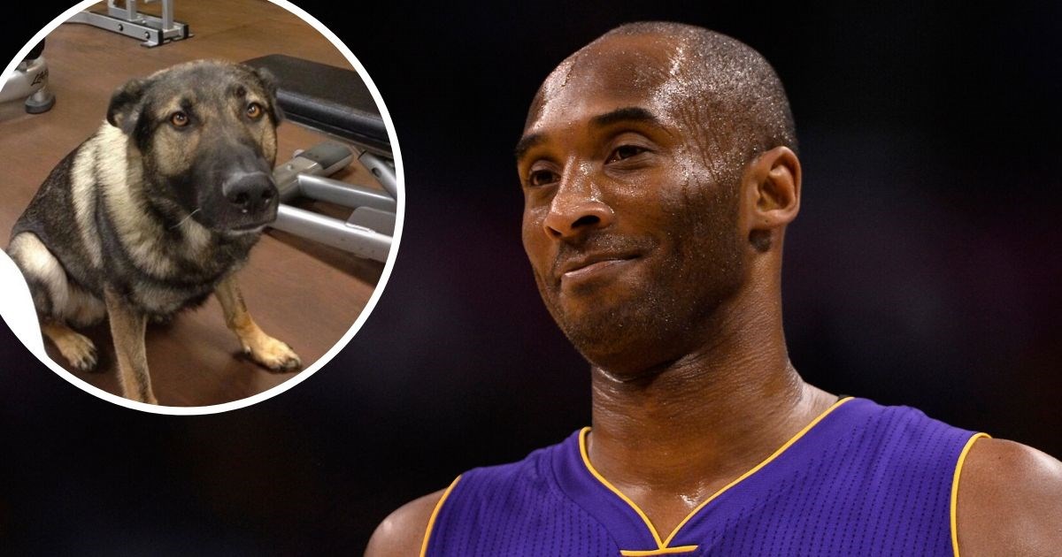 Athletic: Kobe Bryant imao je psa koji je slušao samo naredbe na hrvatskom