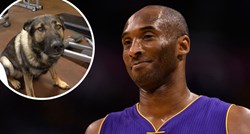 Athletic: Kobe Bryant imao je psa koji je slušao samo naredbe na hrvatskom