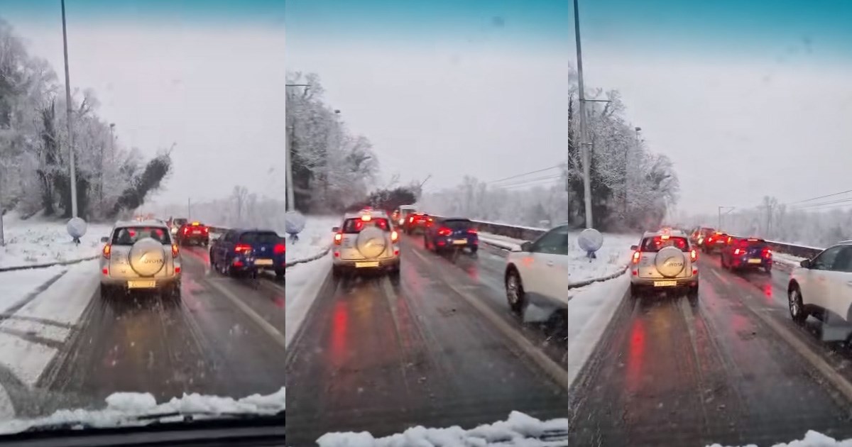 VIDEO Po Zagrebu padala stabla, pogledajte kako drvo pada na Aleji Bologne