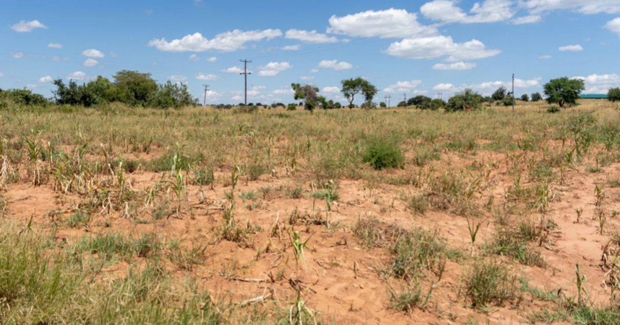 Ekonomisti: Super El Niño mogao bi izazvati globalni šok cijena hrane