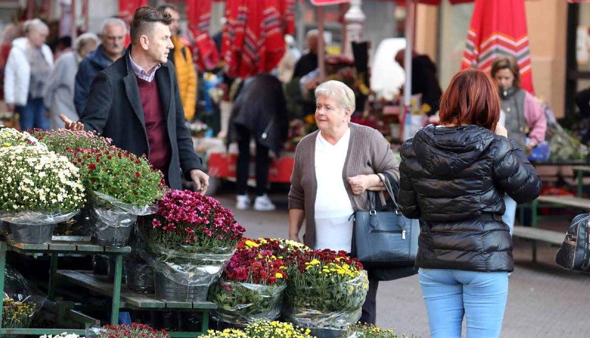 Cvijeće za Sve svete barem 30 posto skuplje nego prošle godine