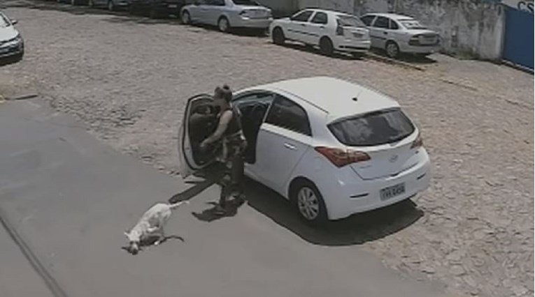 Snimka koja slama srce: Izbacila psa iz auta i odvezla se, još ga je i udarala...