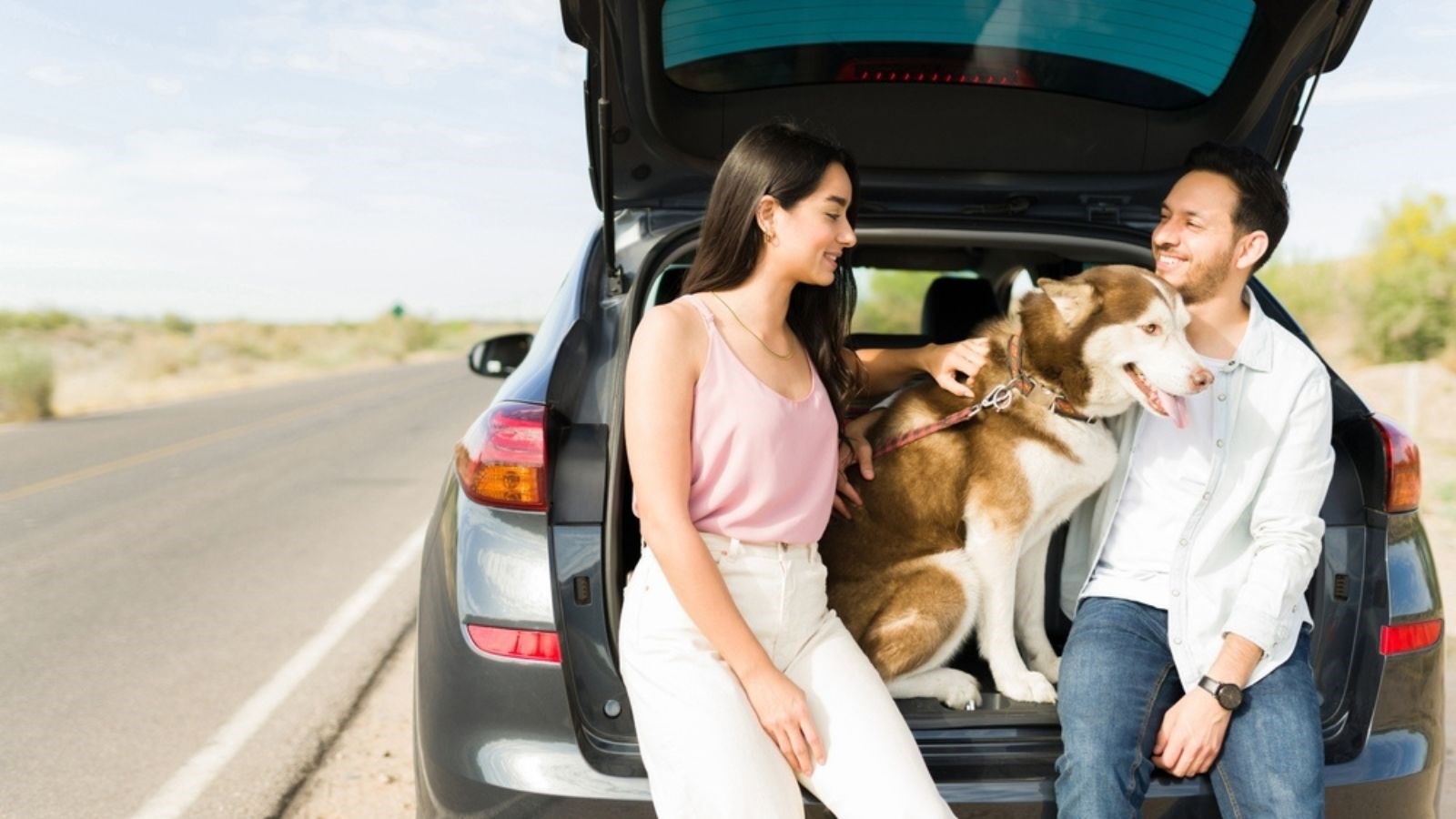 Saznajemo kakvi automobili dominiraju hrvatskim cestama: Je li vaš među njima?