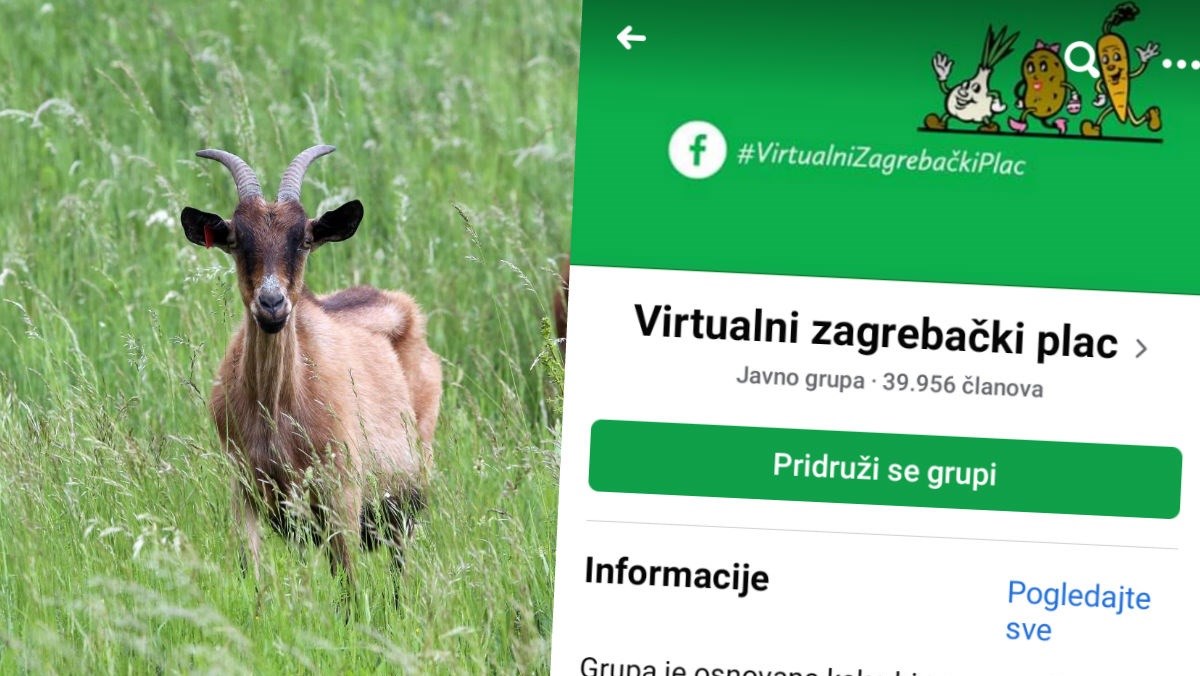 Virtualni zagrebački plac dosad okupio 40 tisuća ljudi, posvađali ih jarići