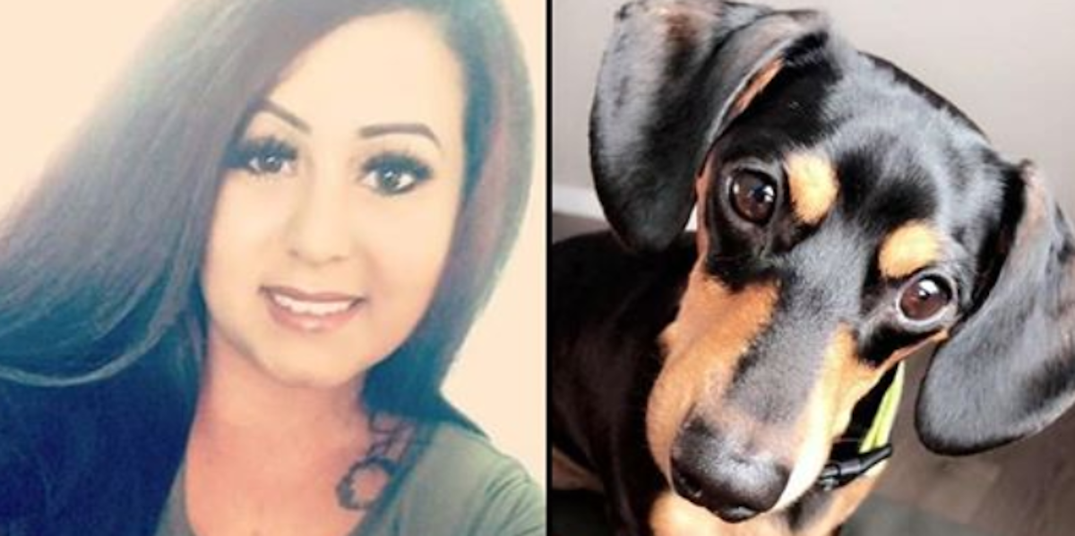 Veterinar uspavao psa bez dozvole vlasnice, ona ga ipak neće tužiti, evo zašto