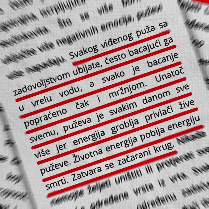 Kninsko komunalno poduzeće o puževima: Ne ubijajte ih, privlači ih energija groblja