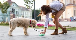 Dubrovnik uvodi bazu psećeg DNK za kažnjavanje vlasnika koji ne kupe izmet za psima?