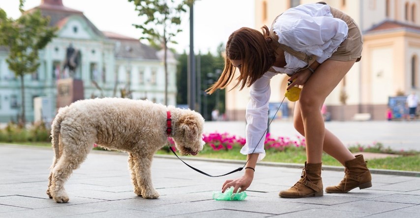 Dubrovnik uvodi bazu psećeg DNK za kažnjavanje vlasnika koji ne kupe izmet za psima?