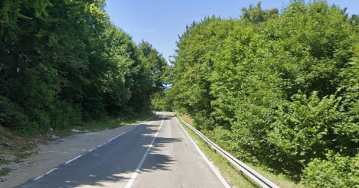 U mjesec dana 42 naleta na srne u Primorsko-goranskoj županiji, šteta 50.000 eura