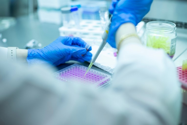 Otkriven način za pomlađivanje krvnih matičnih stanica