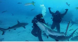 VIDEO Mike Tyson postao svjetski prvak morskih pasa