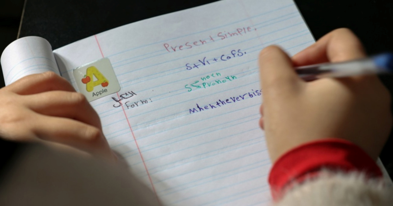 Sve obrazovne ustanove u Iranu se zatvaraju